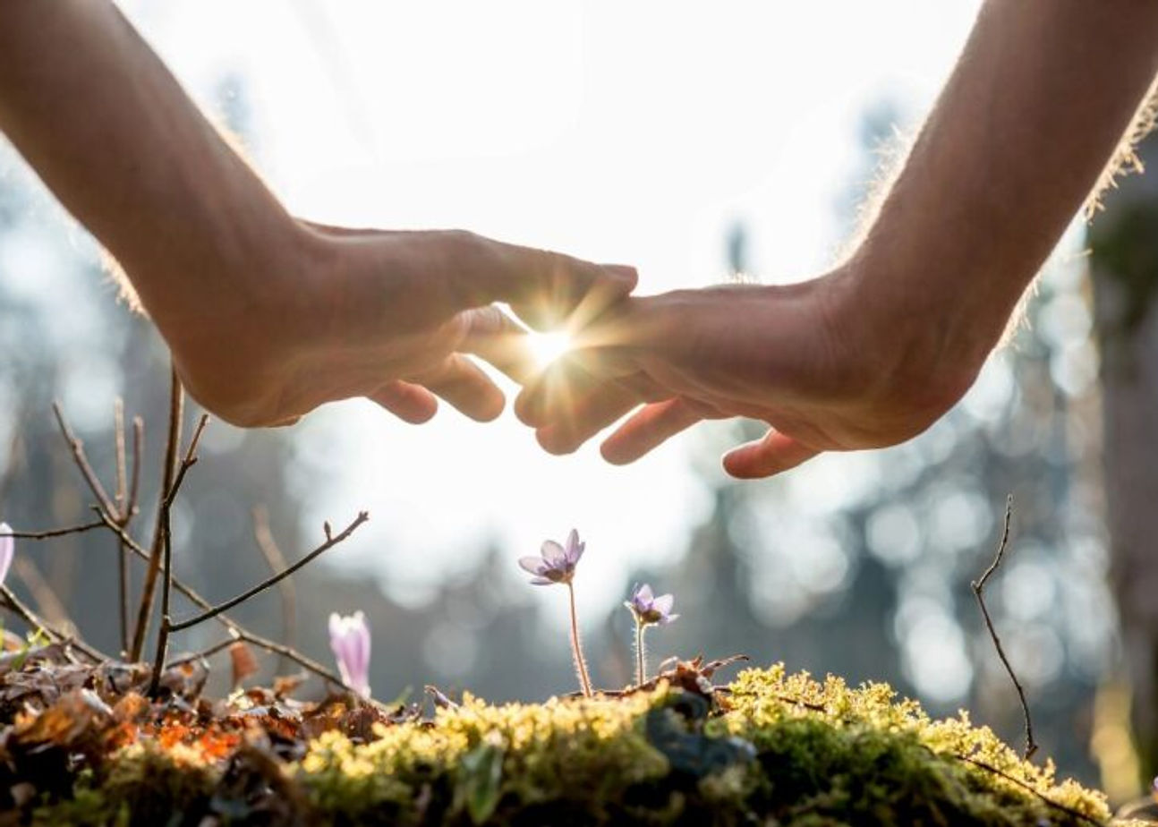 Community Guided Meditation Healing